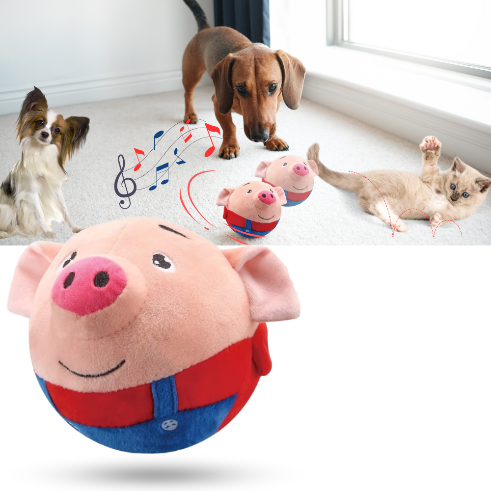 Paw Bounce Sensor Toy - Ozerty