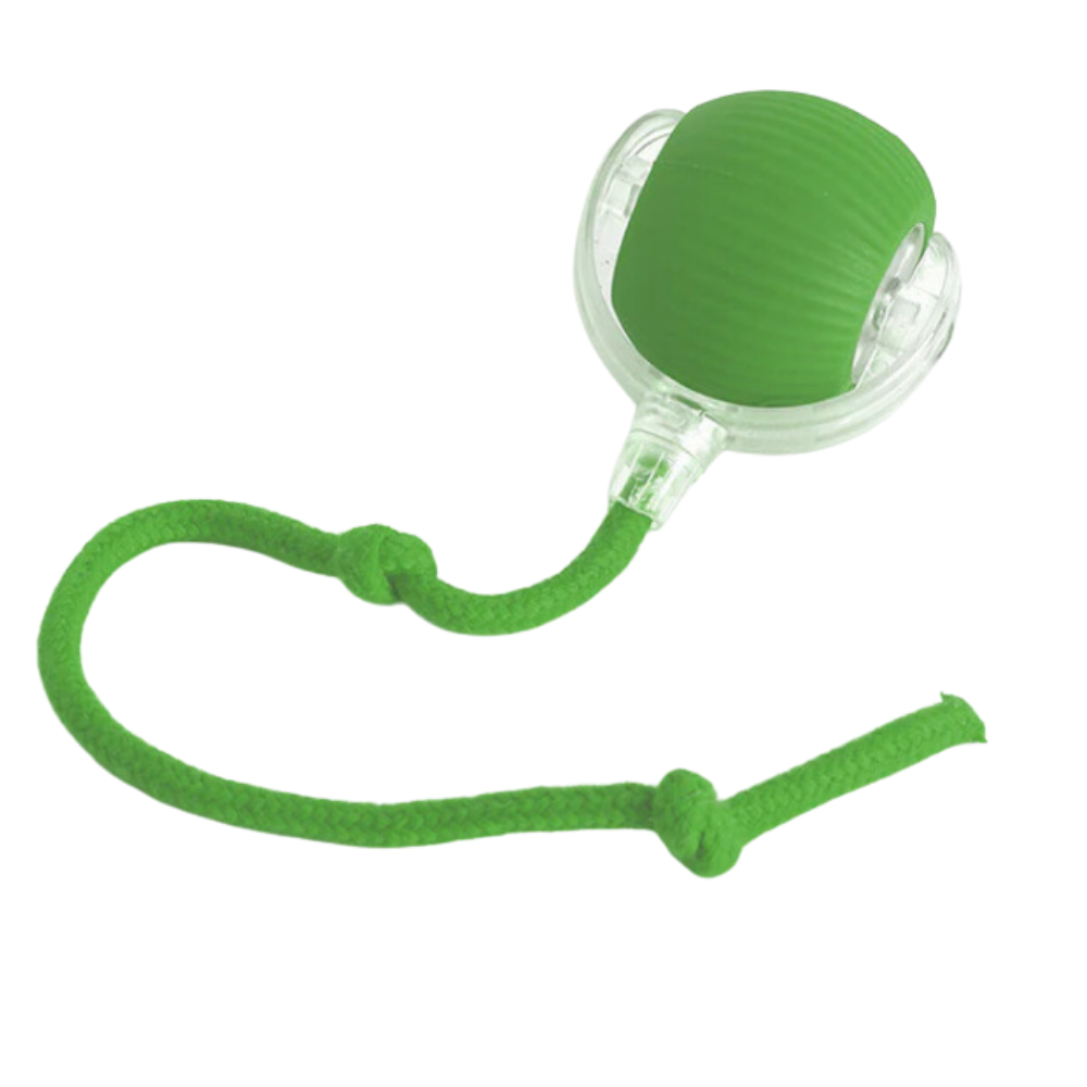 Smart Interactive Cats Ball Toy -Green - Ozerty