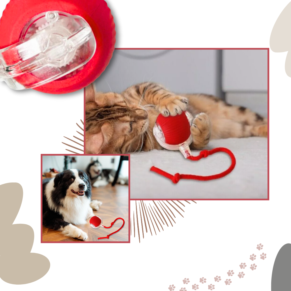 Smart Interactive Cats Ball Toy - Ozerty