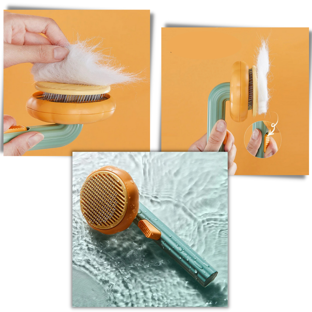 Self-cleaning pumpkin pet brush
